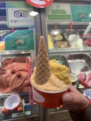 So tasty! at Gelateria Valentino in Rome