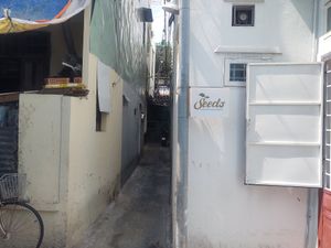 The restaurant is located in this alley at The Seeds Plant-Based Foods & Desserts in Hoi An