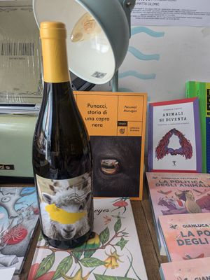  at Colapesce in Messina