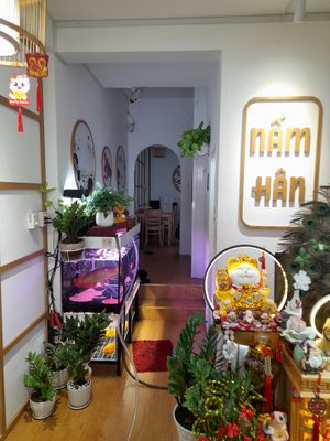 Inside at Nấm Hân in Ho Chi Minh City