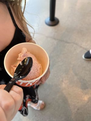 Kids scoop of strawberry & coconut water sherbet   at Salt & Straw in Gilbert