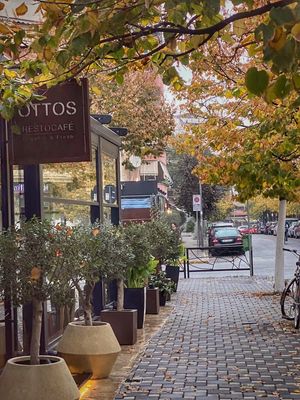  at Ottos Restocafé in Tirana