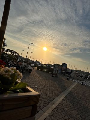Chill view  at Monkey Mood in Capbreton