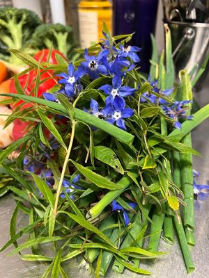 Fresh from the garden at Café Conscient  in Nyon