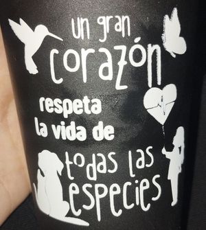  at Mamma Pizza Vegana in Mexico City