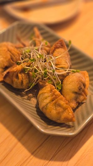  at Dumplings & Beer 541Tasu tonight in Osaka