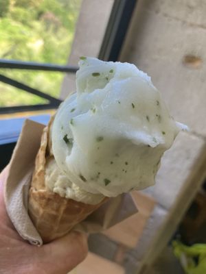   at Glacier Terre adélice in Saint-sauveur-de-montagut