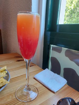 Mimosa de groselha at Cowie in Queluz