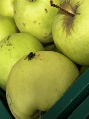 caught them ..😁 at iDEA in Bar