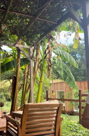   at Aroma Café in Corsica