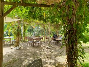  at Aroma Café in Corsica