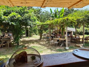  at Aroma Café in Corsica