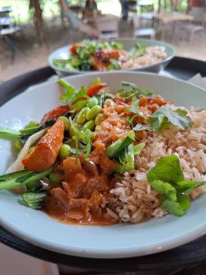Tatsoi, carrot, spring onion, edamame with miso sauce at Aroma Café in Corsica