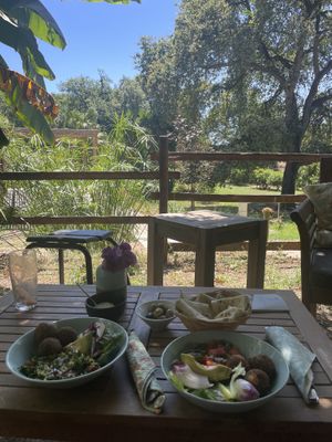   at Aroma Café in Corsica