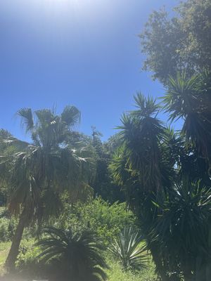   at Aroma Café in Corsica