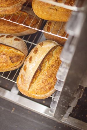  at Jaunty Goat Coffee - Bakery in Chester