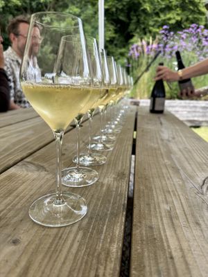 Vegan tasting menu and wines!  at Gusbourne in Ashford