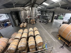 Where the magic happens!  at Gusbourne in Ashford