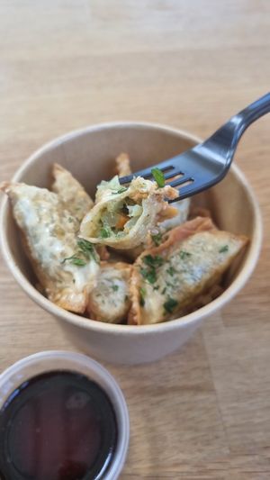 fried pelmeni at Pelmeni Dumplings in Riga