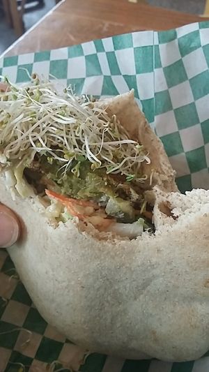 Falafel Traditionel at Panthere Verte - Plateau in Montreal