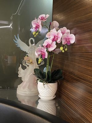 Interno locale   at Crazy Dumplings in Turin