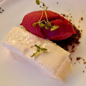 Elderberry and raspberry at Arken Hotel & Art Garden Spa in Gothenburg