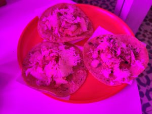 Tacos at Chiquita in Banja Luka