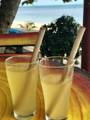 Lemongrass and lime Kombucha at Health Oasis Resort in Koh Samui
