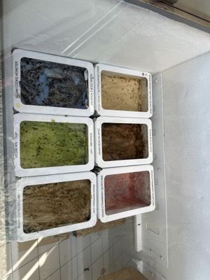 Vegan flavors  at Bliss Small Batch Creamery in Snohomish