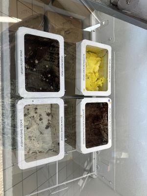 Vegan flavors  at Bliss Small Batch Creamery in Snohomish