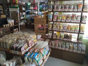 Inside at Sunshine Market in Bangkok