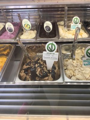 Vegan flavors  at Slurp Gelateria in Sanremo