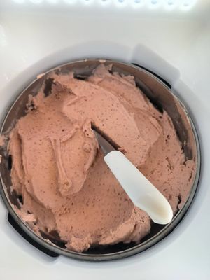Sorbet figue at Caroline Gelats & Dolços in Girona