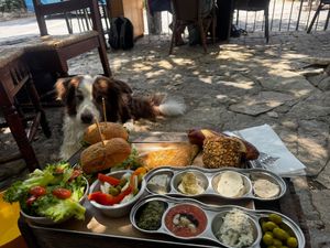   at Meshigane in Zikhron Yaakov