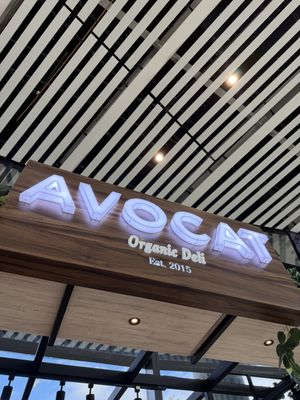   at PTY - Avocat Organic Deli - T2 in Panama City