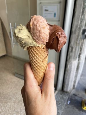 Vegan, all vegan!!!  at Gelato Giusto in Milan