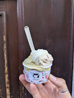 Gelato rosa e lampone e pistacchio at Gelato Giusto in Milan
