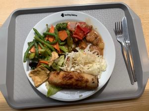 A Buffet selection of Soy meat with a Soy spring roll, served with vegetables, coleslaw salad and cabbage.  at Loving Bistro in Prague