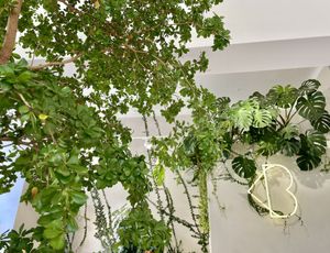   at Loving Bistro in Prague