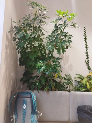 Interior at Loving Bistro in Prague