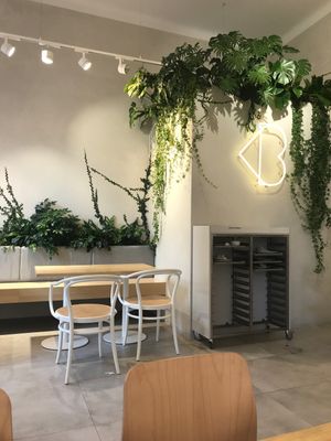 vibe at Loving Bistro in Prague