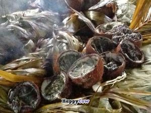 Coconuts roasted with taro leaves  at Eco Cafe in Nadi
