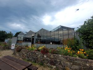 Hooton's Homegrown Brynsiencyn Farm Shop Outside at Hooton's Homegrown in Llanfairpwllgwyngyll