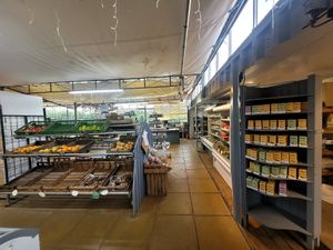 Hooton's Homegrown Brynsiencyn Farm Shop Inside at Hooton's Homegrown in Llanfairpwllgwyngyll