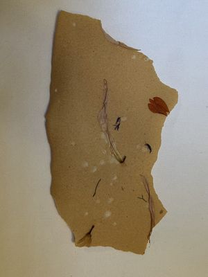 A simple cracker turned into a work of artt  at Datil in Paris