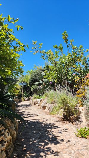 Enter into our hidden oasis at Comunidad Inspira in Mallorca