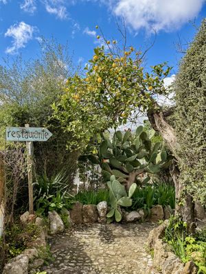   at Comunidad Inspira in Mallorca