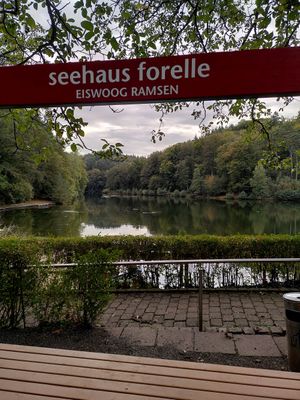 Blick auf den Eiswoog at Seehaus Forelle in Ramsen