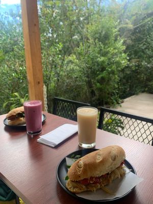 Masato, yogur vegano de frutos azules y sándwiches de la huerta. at Cósmico Restaurante in Cundinamarca