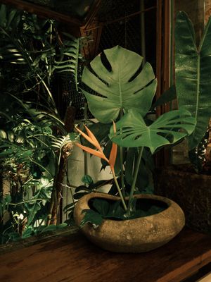   at O Plant-based - Tôn Thất Đạm in Ho Chi Minh City